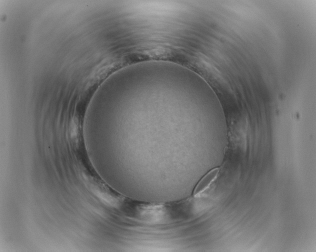 X0000088400132200705221132