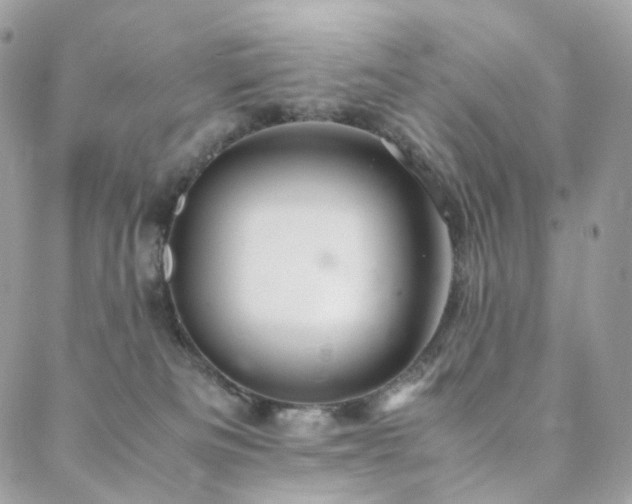 X0000088400133200705221132