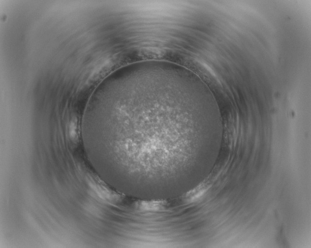 X0000088400134200705221132