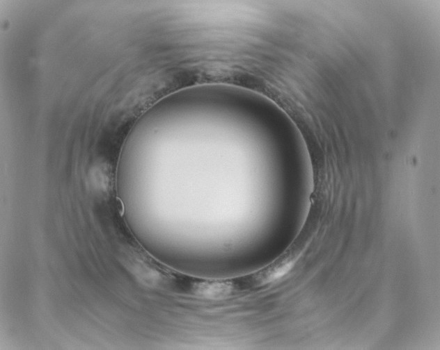 X0000088400135200705221132