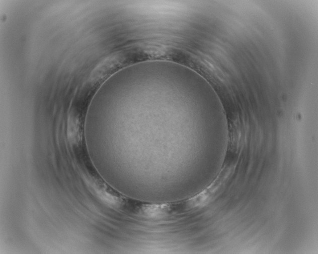 X0000088400136200705221132