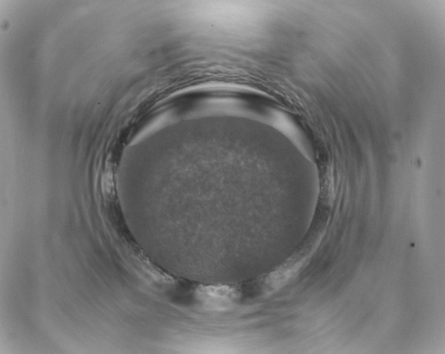 X0000088400137200705221132