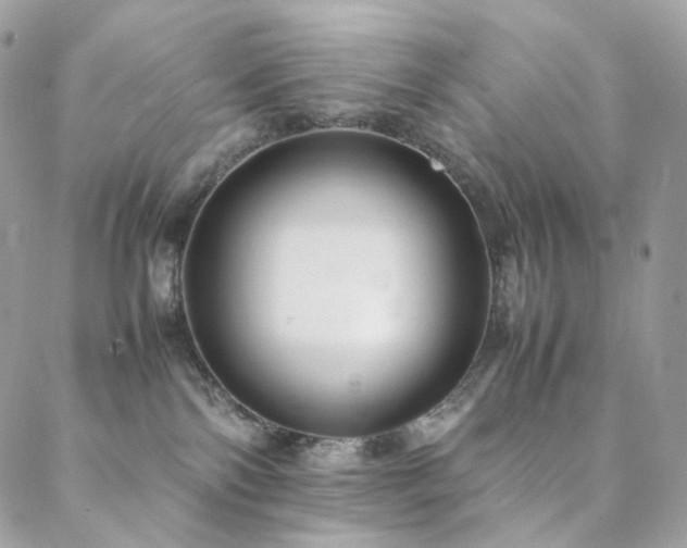 X0000088400138200705221132