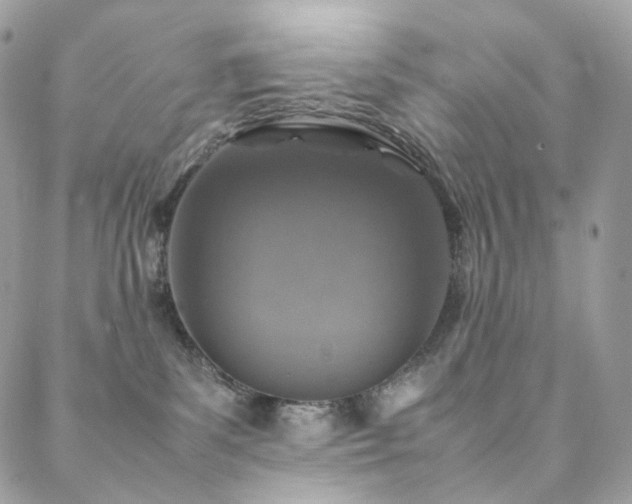 X0000088400139200705221132