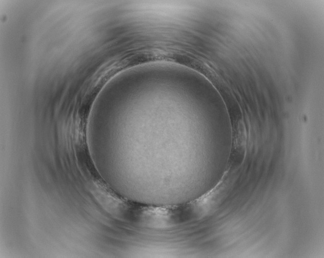 X0000088400140200705221132