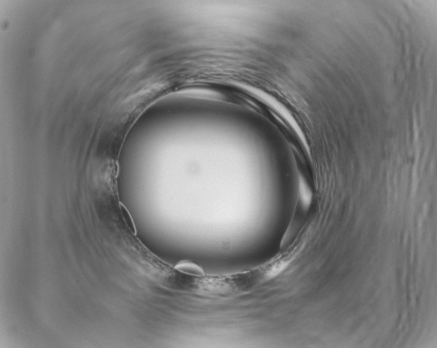 X0000088400141200705221132