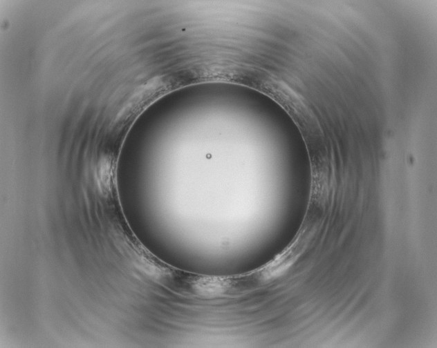 X0000088400142200705221132