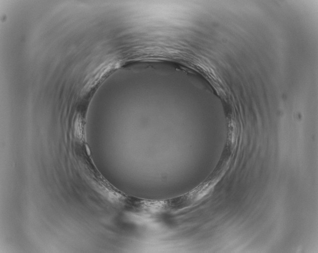 X0000088400143200705221132