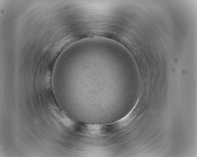 X0000088400144200705221132