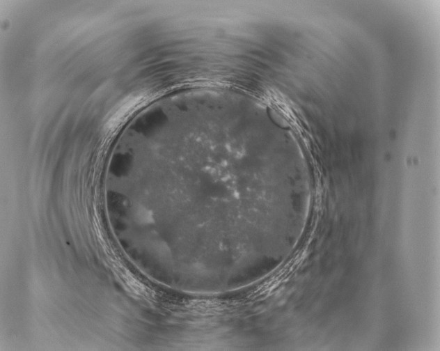 X0000088400145200705221131