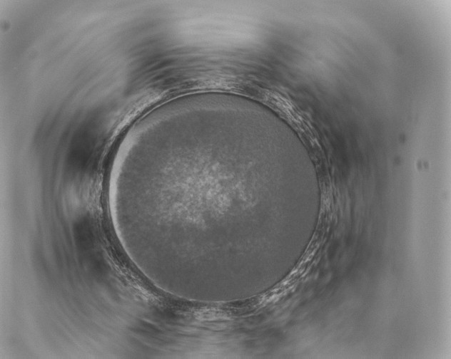 X0000088400146200705221131