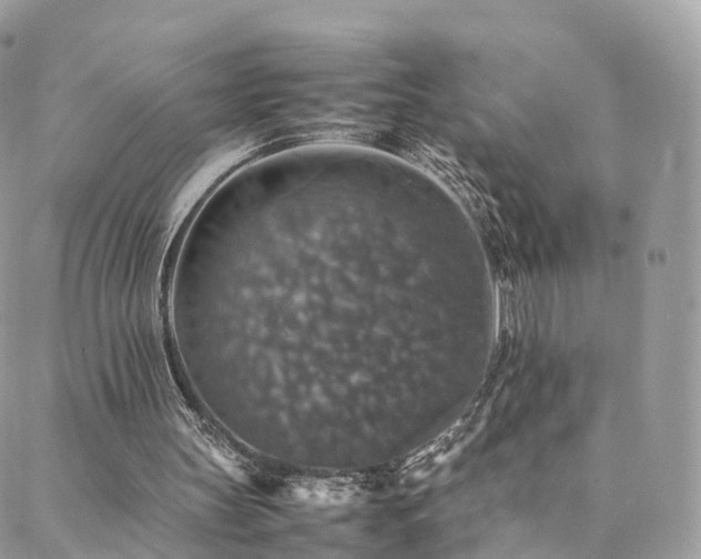 X0000088400147200705221131