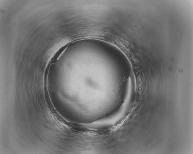 X0000088400148200705221131