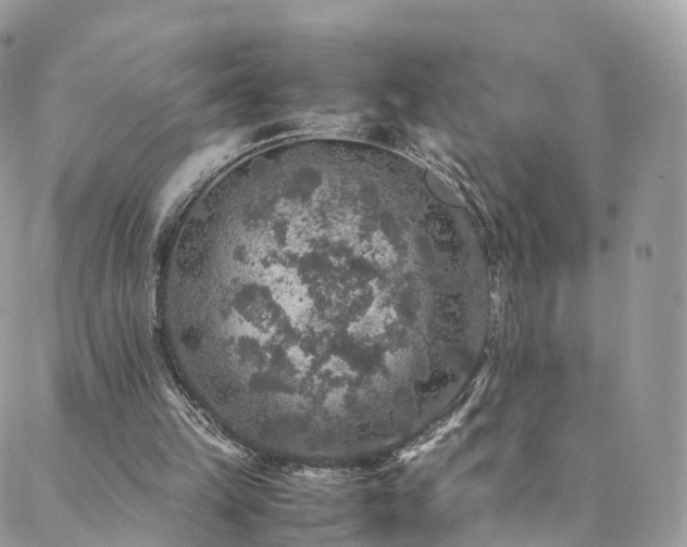 X0000088400149200705221131