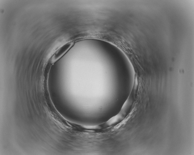 X0000088400150200705221131