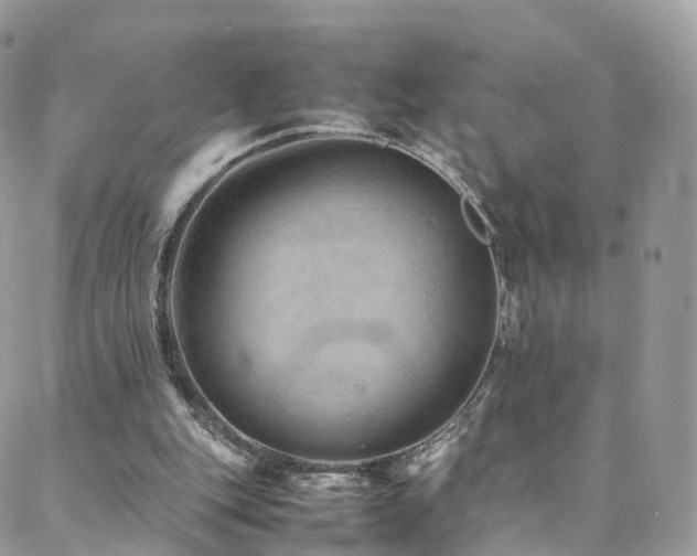 X0000088400151200705221131