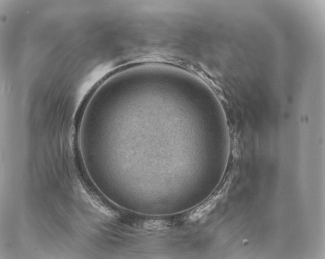 X0000088400152200705221131