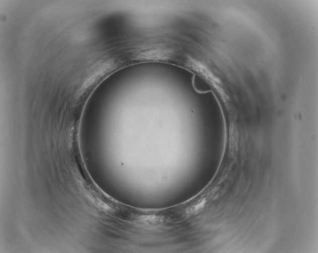 X0000088400153200705221131