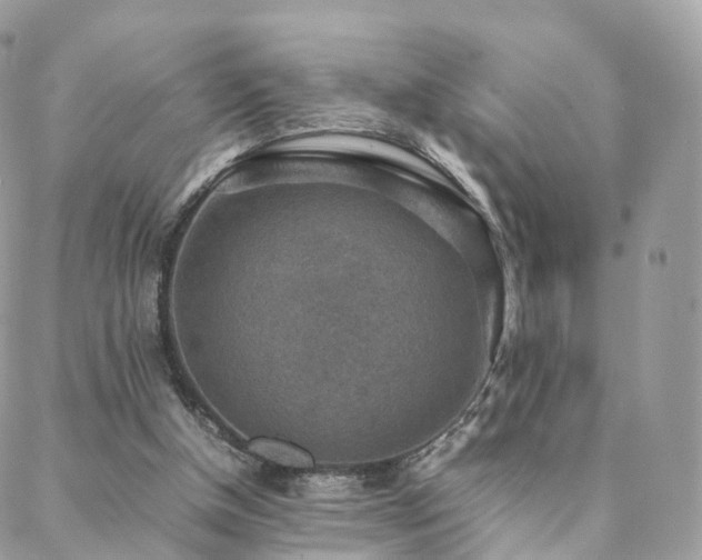 X0000088400154200705221131