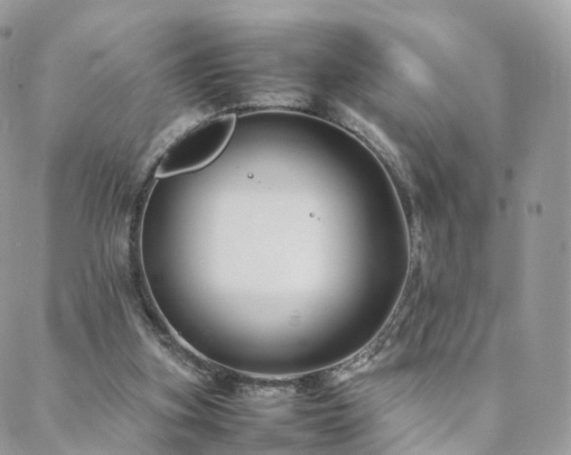 X0000088400155200705221131