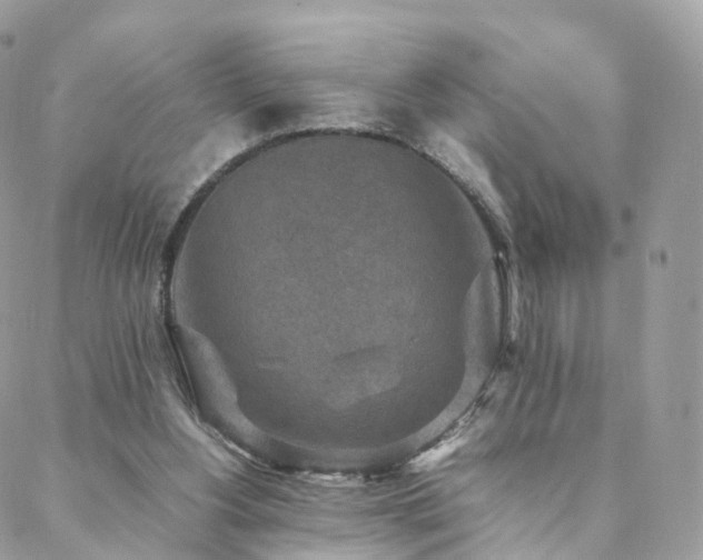 X0000088400156200705221131