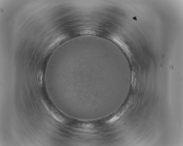 X0000088400157200705221131