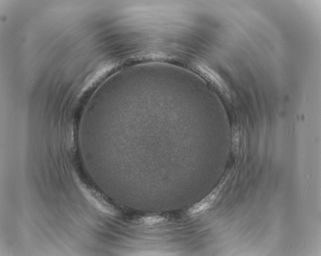 X0000088400158200705221131