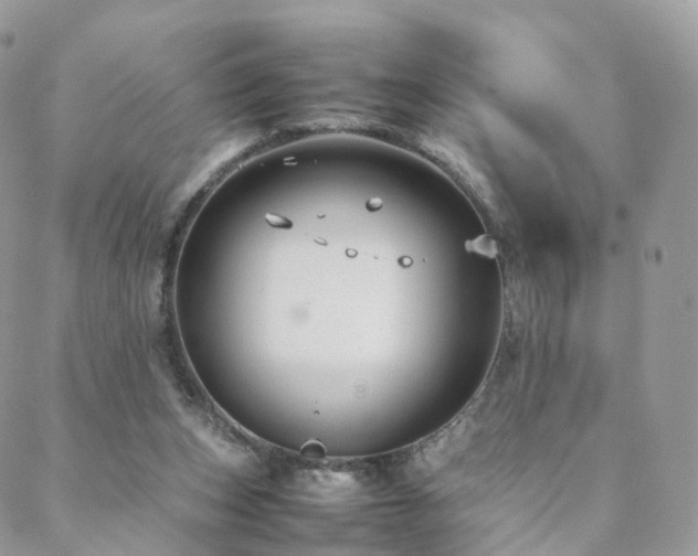 X0000088400159200705221131