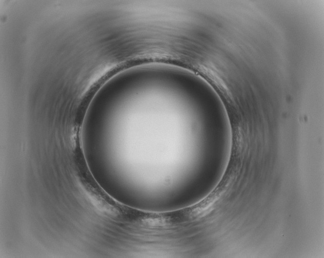 X0000088400160200705221131