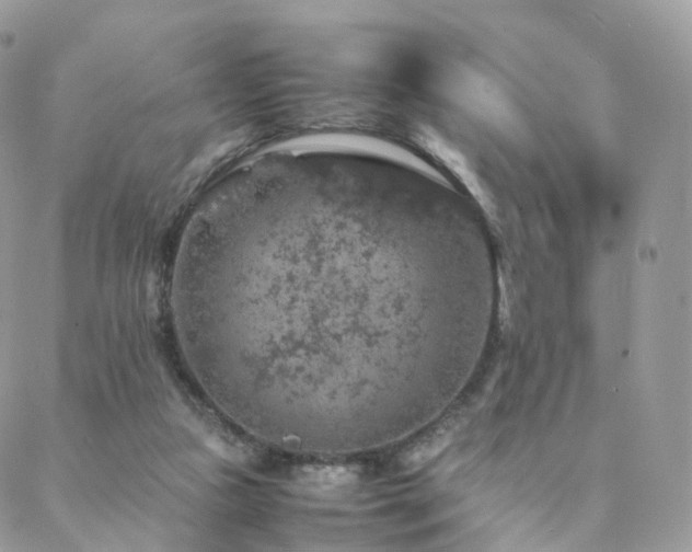 X0000088400161200705221131