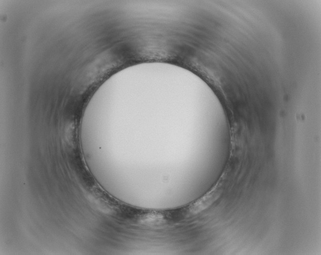 X0000088400162200705221131