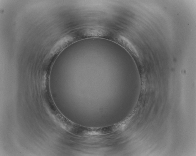 X0000088400163200705221131