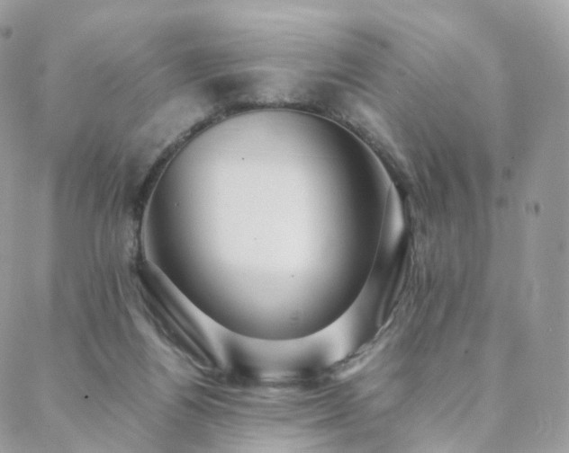 X0000088400164200705221132