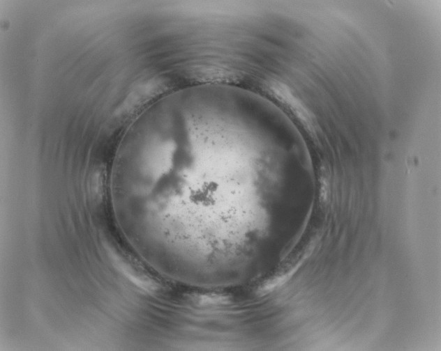 X0000088400165200705221132