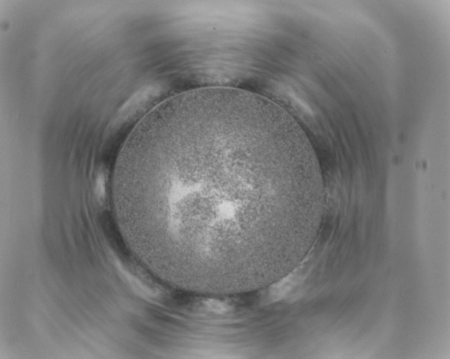 X0000088400166200705221132