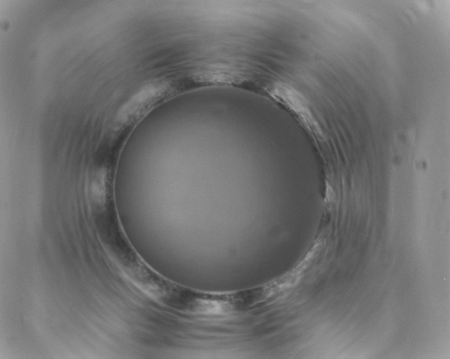 X0000088400167200705221132