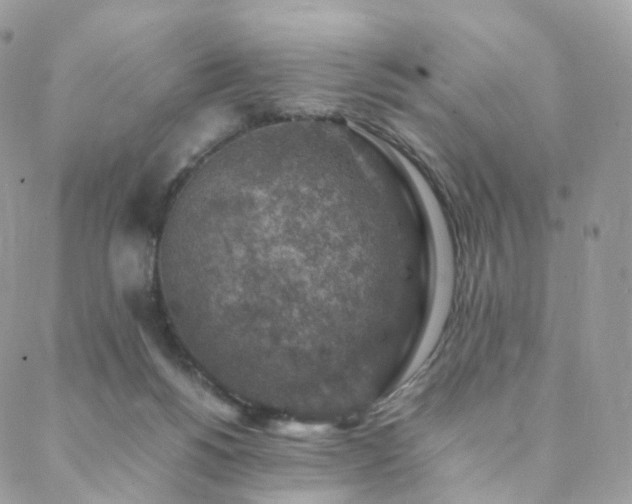 X0000088400168200705221132