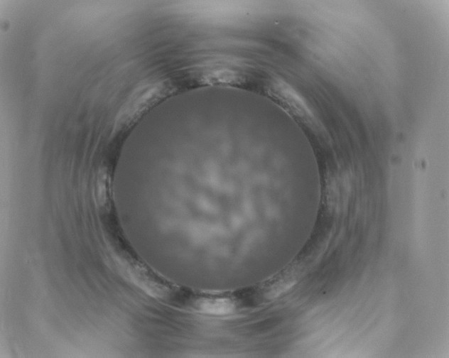 X0000088400169200705221132