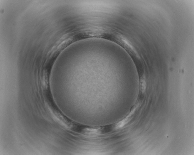 X0000088400170200705221132