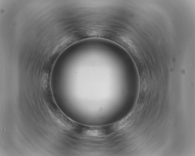 X0000088400171200705221132