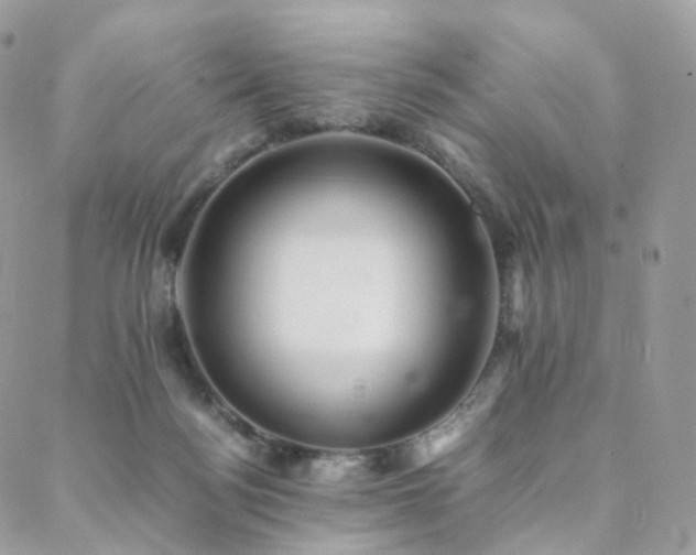 X0000088400172200705221132