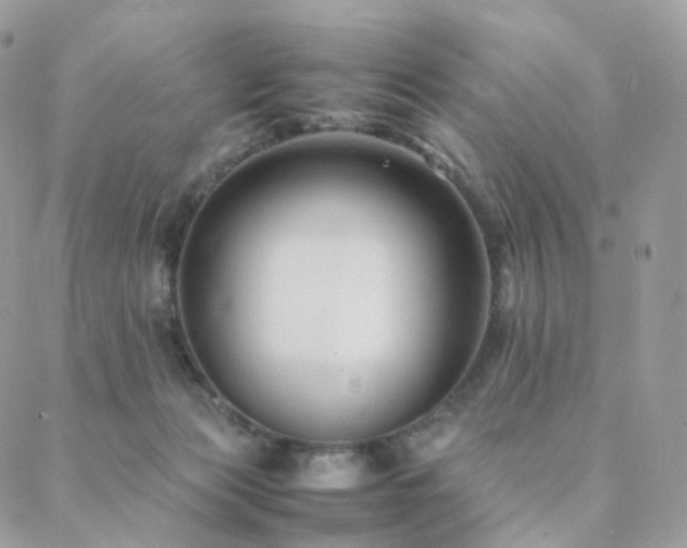 X0000088400173200705221132