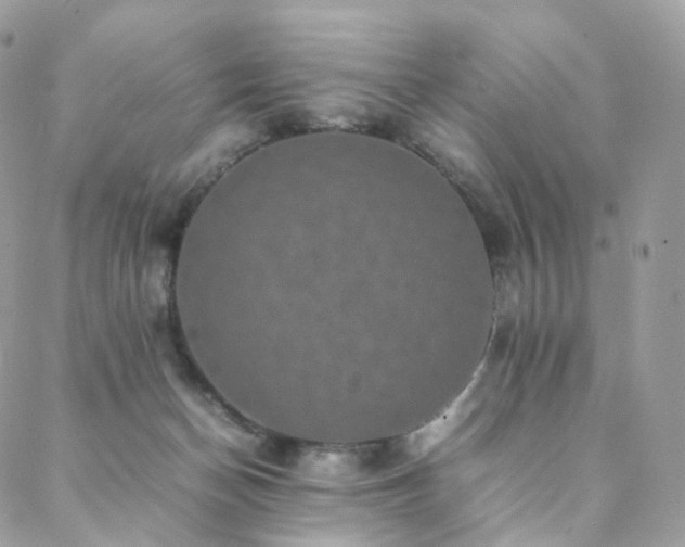 X0000088400174200705221132