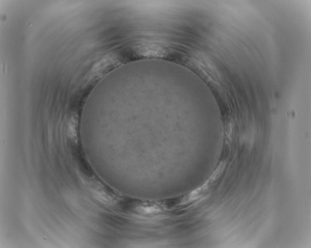 X0000088400175200705221132