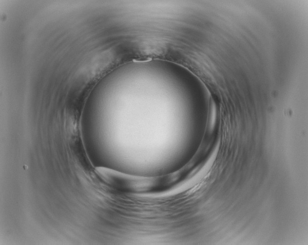 X0000088400176200705221132