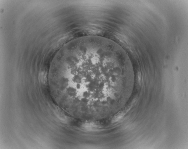 X0000088400177200705221132