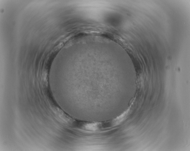 X0000088400178200705221132