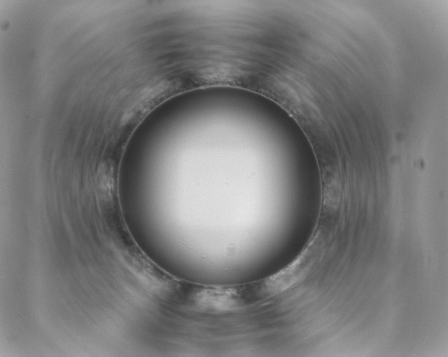 X0000088400179200705221132