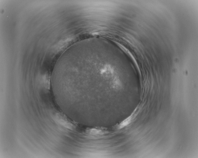 X0000088400180200705221132