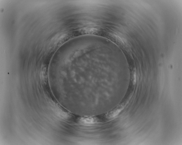 X0000088400181200705221132